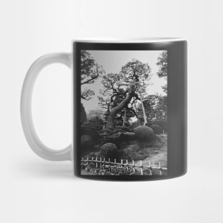 Black and White Shot of Old Trees in Japanese Garden Mug